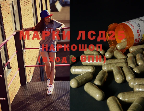 ECSTASY Липки
